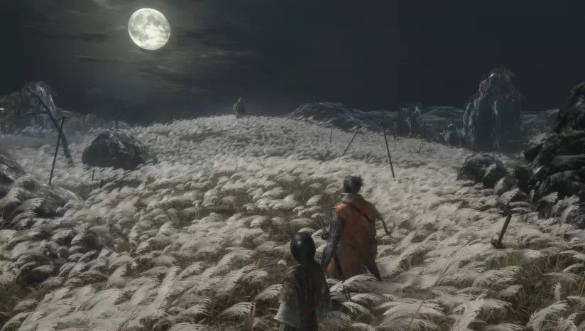 只狼：影逝二度/Sekiro™: Shadows Die Twice（v1.06年度版）