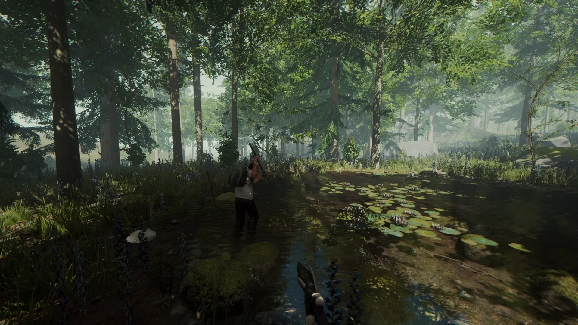 森林/The Forest
