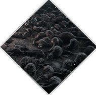300-89 300-89