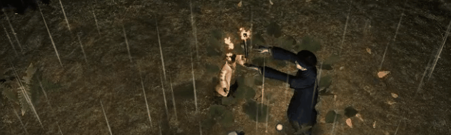 GIF5 GIF5